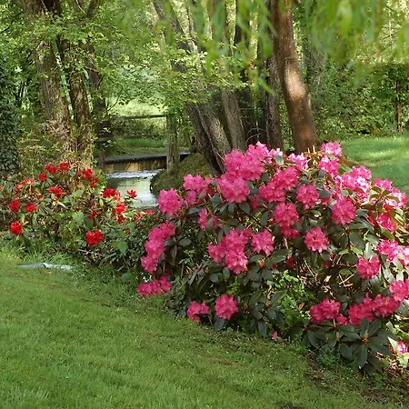 Bed & Breakfast La Baronniere *