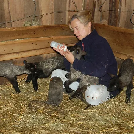 La Baronniere Bed & Breakfast