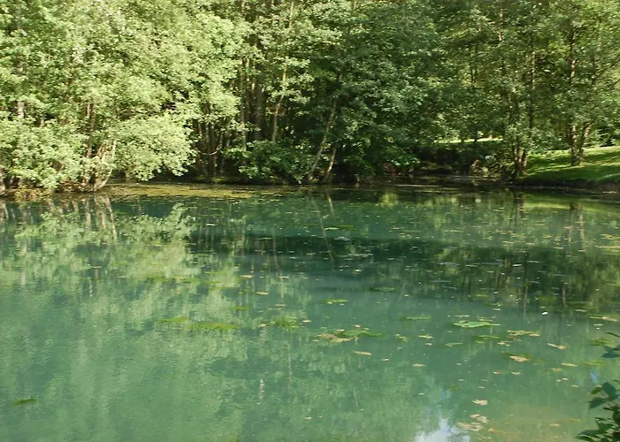 Bed & Breakfast La Baronniere