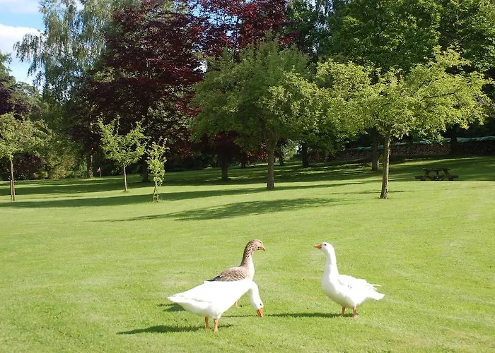 Bed & Breakfast La Baronniere Cordebugle