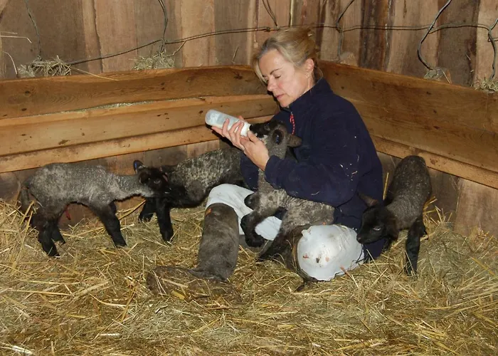 La Baronniere Bed & Breakfast