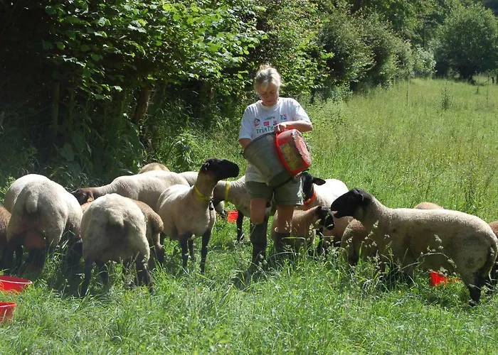 La Baronniere Cordebugle